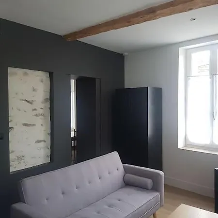 Le Merlane - A 2 Pas De La Cite & Du Centre Διαμέρισμα Καρκασόν