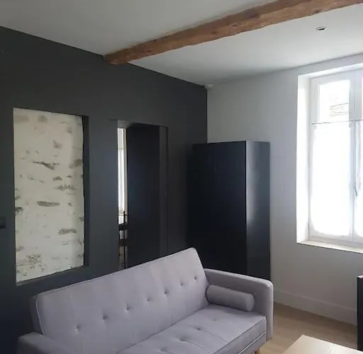 Le Merlane - A 2 Pas De La Cite & Du Centre Apartment Carcassonne