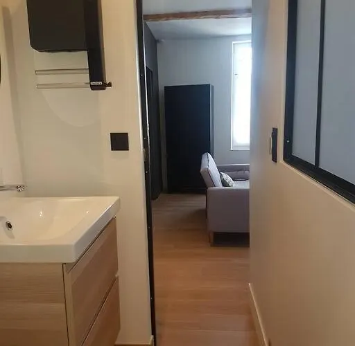 Le Merlane - A 2 Pas De La Cite & Du Centre *