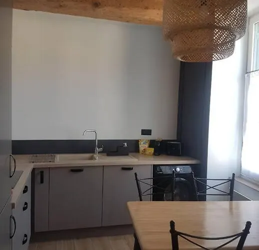 Le Merlane - A 2 Pas De La Cite & Du Centre